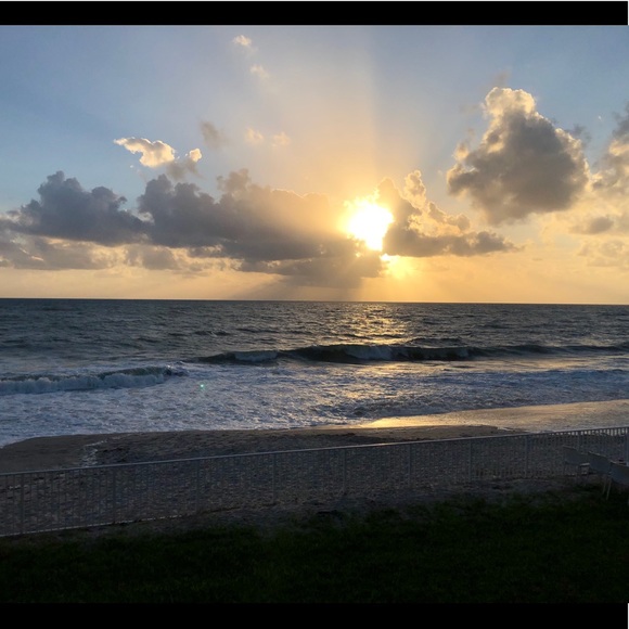 Get to know your Posher. 💋👑🐾 - Picture 3 of 3